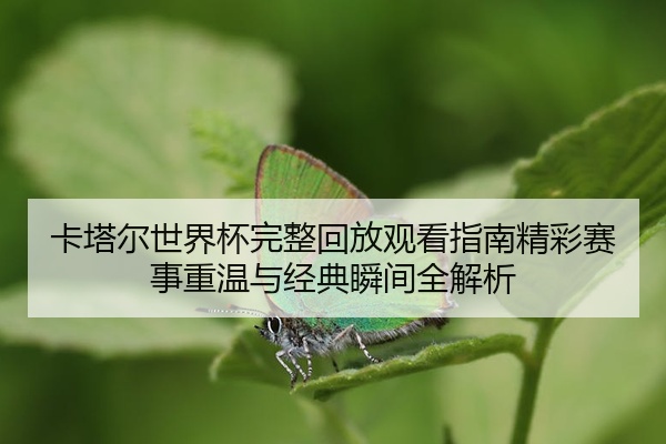 卡塔尔世界杯完整回放观看指南精彩赛事重温与经典瞬间全解析