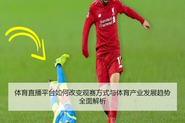 体育直播平台如何改变观赛方式与体育产业发展趋势全面解析