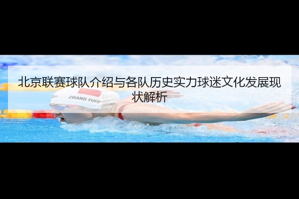 北京联赛球队介绍与各队历史实力球迷文化发展现状解析